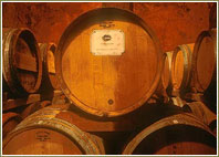 maturazione in botti