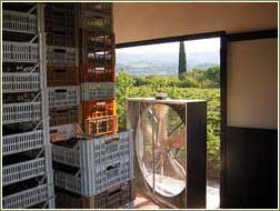 aerazione e appassimento delle uve