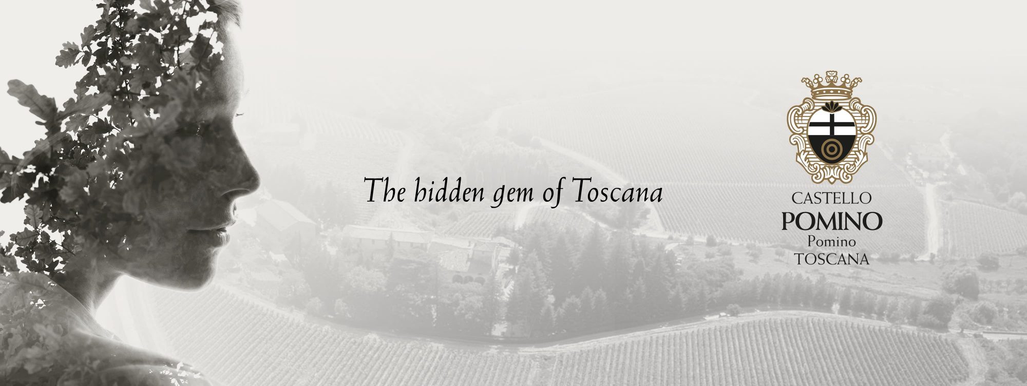 Frescobaldi - Castello di Pomino