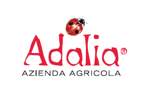 Adalia