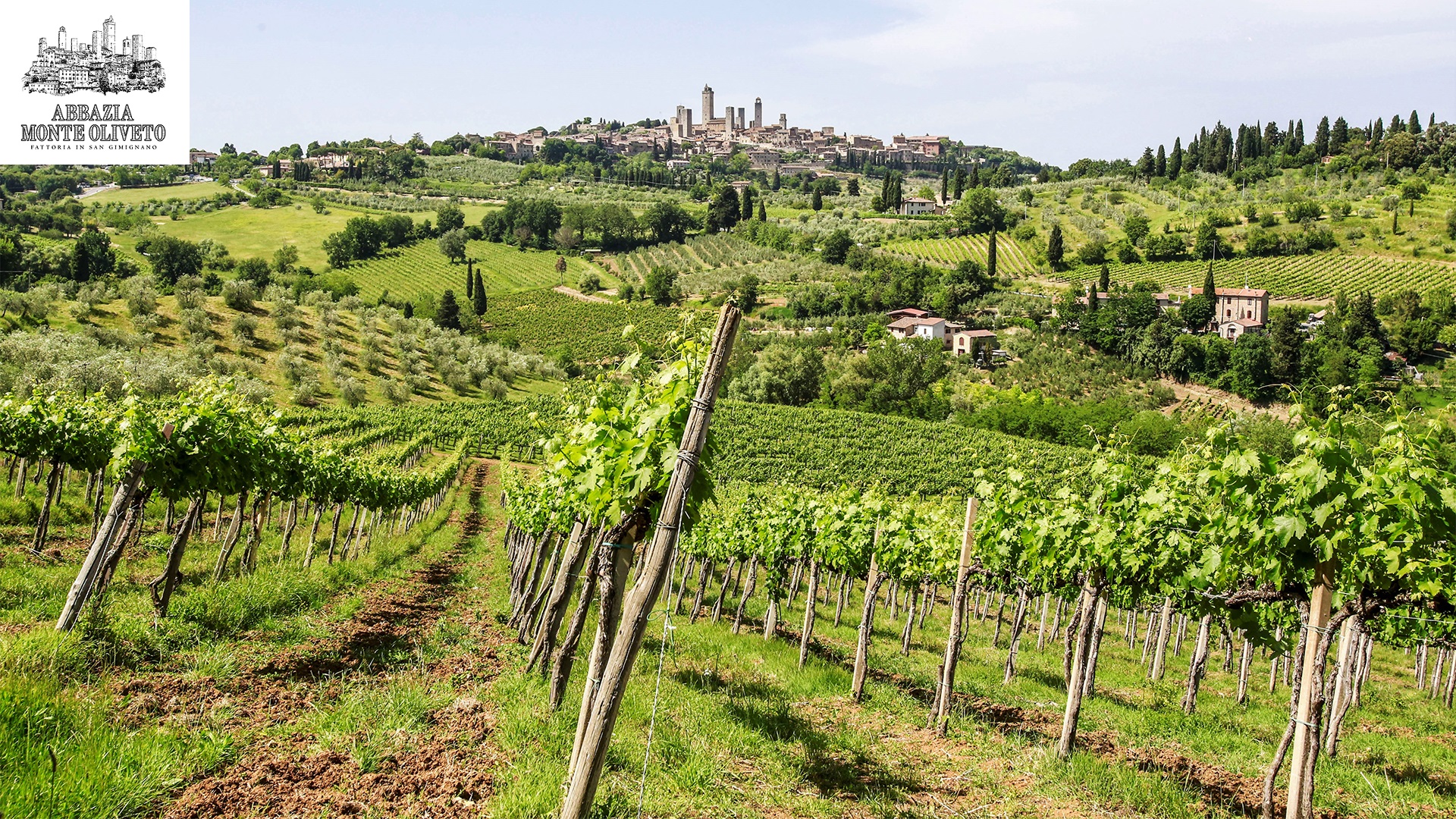 Abbazia Monte Oliveto